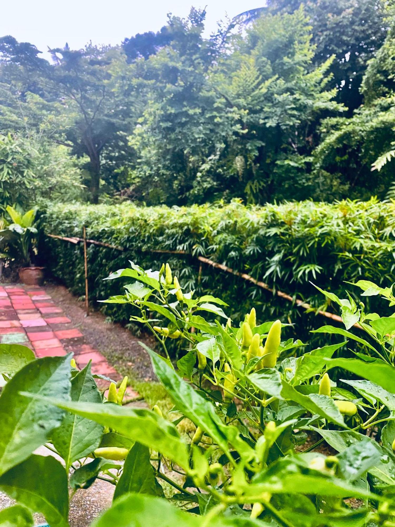 Auberge de jeunesse Baan Longhaad à Ko Lanta Extérieur photo